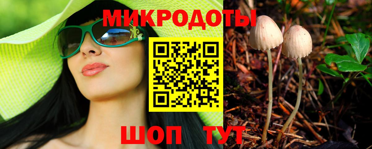 Псилоцибиновые грибы MAGIC MUSHROOMS  Вход с VPN  Балтийск 
